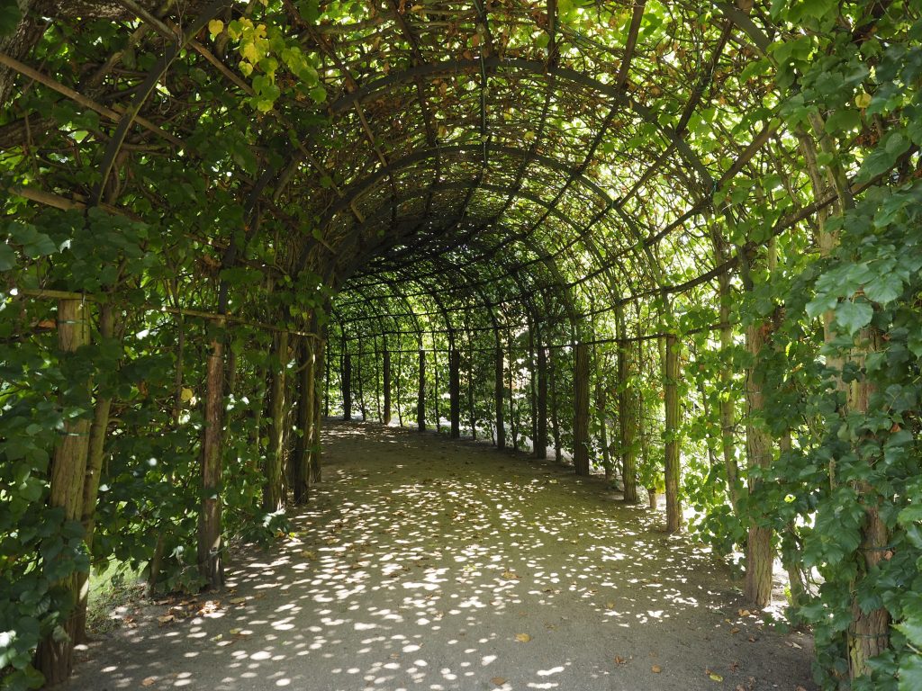 Tunnel im Garten - Bestattungen Strauß